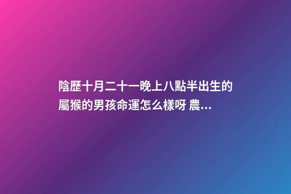 陰歷十月二十一晚上八點半出生的屬猴的男孩命運怎么樣呀 農歷2008年十月二十一出生叫李怡然名字好不好-第1張-觀點-玄機派